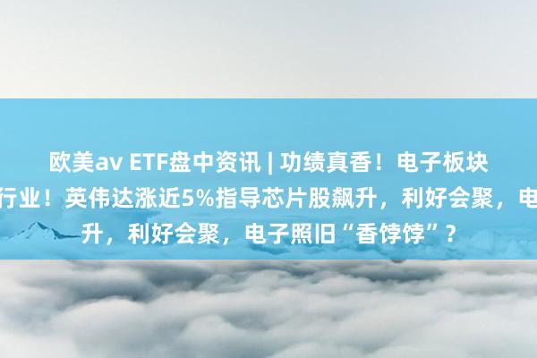 欧美av ETF盘中资讯 | 功绩真香！电子板块成为公募第一重仓行业！英伟达涨近5%指导芯片股飙升，利好会聚，电子照旧“香饽饽”？