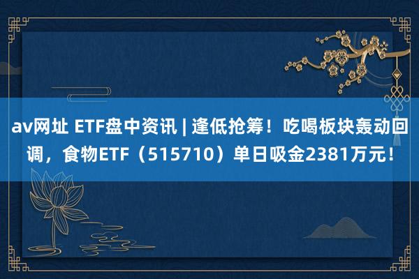 av网址 ETF盘中资讯 | 逢低抢筹！吃喝板块轰动回调，食物ETF（515710）单日吸金2381万元！