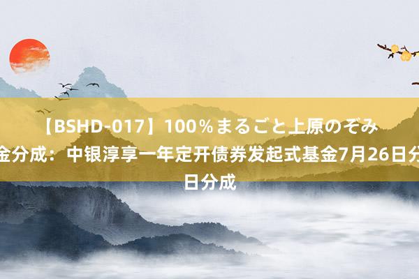 【BSHD-017】100％まるごと上原のぞみ 基金分成：中银淳享一年定开债券发起式基金7月26日分成