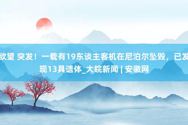 欲望 突发！一载有19东谈主客机在尼泊尔坠毁，已发现13具遗体_大皖新闻 | 安徽网