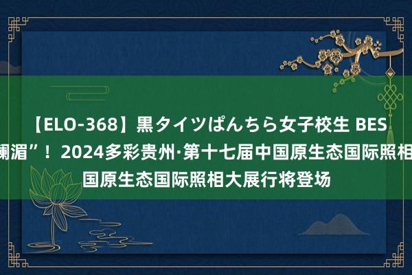 【ELO-368】黒タイツぱんちら女子校生 BEST 携青海邀“澜湄”！2024多彩贵州·第十七届中国原生态国际照相大展行将登场