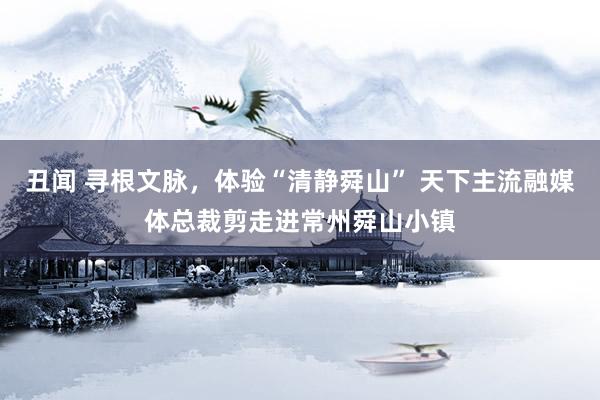 丑闻 寻根文脉，体验“清静舜山” 天下主流融媒体总裁剪走进常州舜山小镇