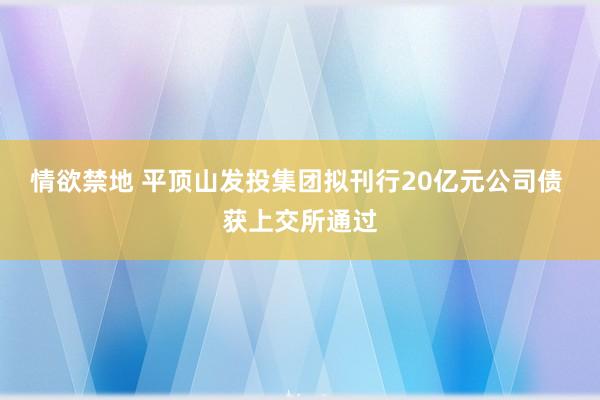 情欲禁地 平顶山发投集团拟刊行20亿元公司债 获上交所通过