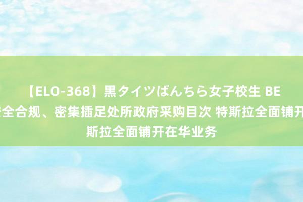 【ELO-368】黒タイツぱんちら女子校生 BEST 数据安全合规、密集插足处所政府采购目次 特斯拉全面铺开在华业务