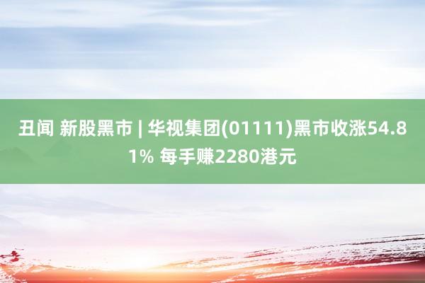 丑闻 新股黑市 | 华视集团(01111)黑市收涨54.81% 每手赚2280港元