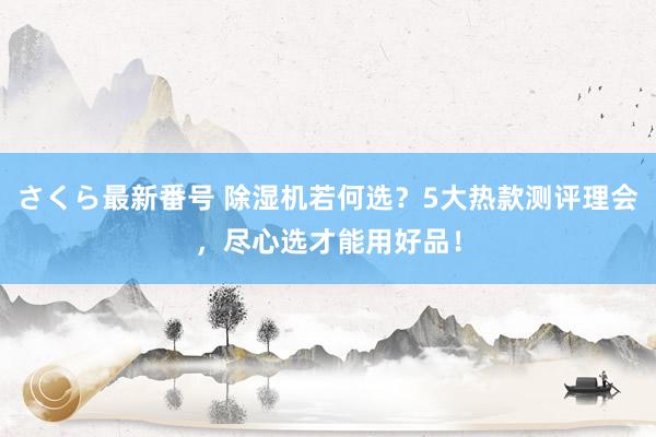 さくら最新番号 除湿机若何选？5大热款测评理会，尽心选才能用好品！