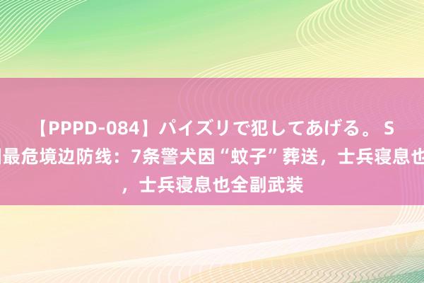 【PPPD-084】パイズリで犯してあげる。 SARA 我国最危境边防线：7条警犬因“蚊子”葬送，士兵寝息也全副武装