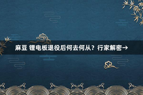 麻豆 锂电板退役后何去何从？行家解密→