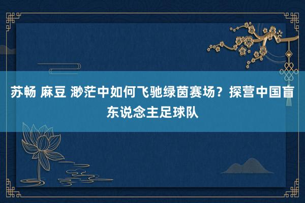 苏畅 麻豆 渺茫中如何飞驰绿茵赛场？探营中国盲东说念主足球队