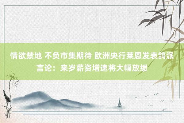 情欲禁地 不负市集期待 欧洲央行莱恩发表鸽派言论：来岁薪资增速将大幅放缓