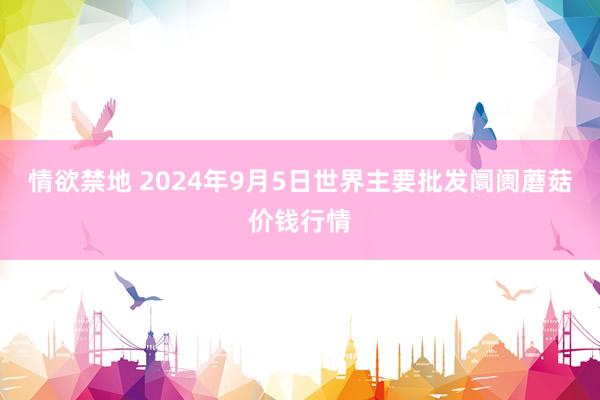 情欲禁地 2024年9月5日世界主要批发阛阓蘑菇价钱行情