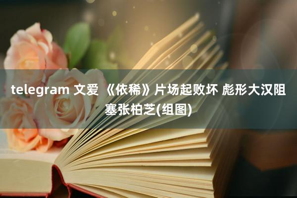 telegram 文爱 《依稀》片场起败坏 彪形大汉阻塞张柏芝(组图)