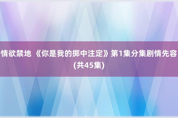 情欲禁地 《你是我的掷中注定》第1集分集剧情先容(共45集)