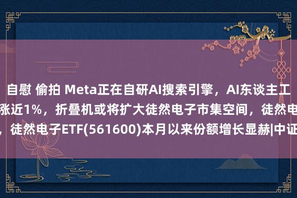 自慰 偷拍 Meta正在自研AI搜索引擎，AI东谈主工智能ETF(512930)翻红涨近1%，折叠机或将扩大徒然电子市集空间，徒然电子ETF(561600)本月以来份额增长显赫|中证|etf|权重股|